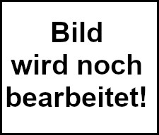 Cypersicherheit